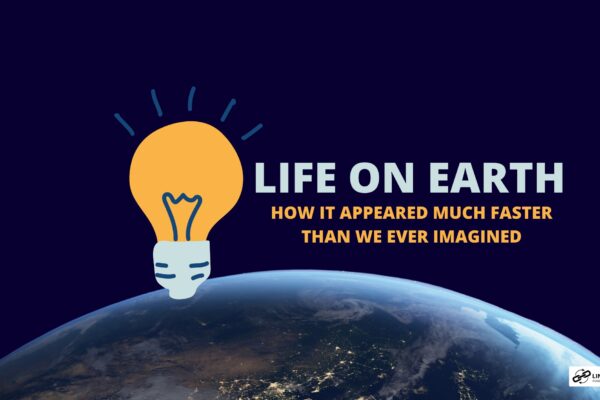 life on earth