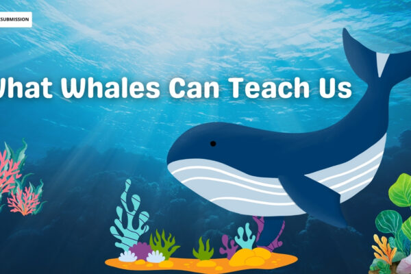 whales
